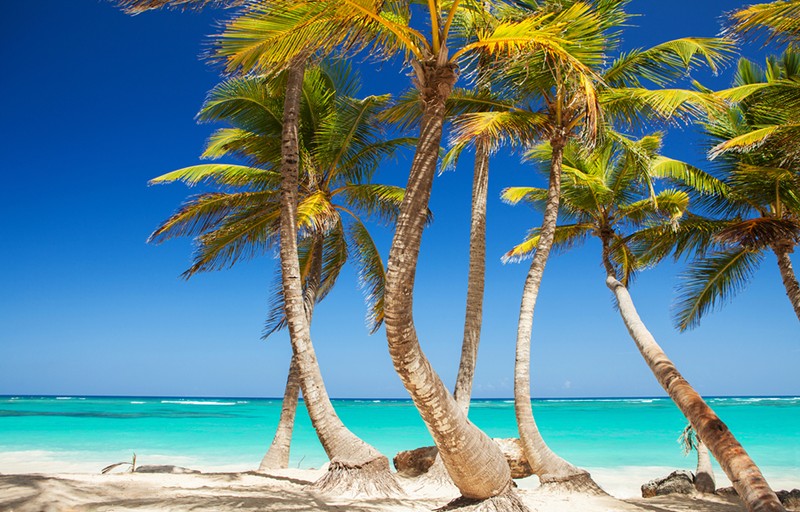 Tropical beach. Ocean and palmtrees background. White sand and crystal-blue sea. Ocean water nature, beach relax. Summer sea vacation. Caribbean beach background